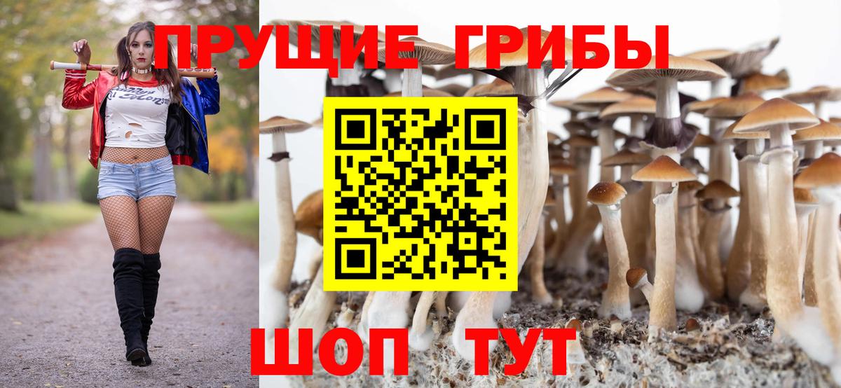 Галлюциногенные грибы Magic Shrooms Ржев